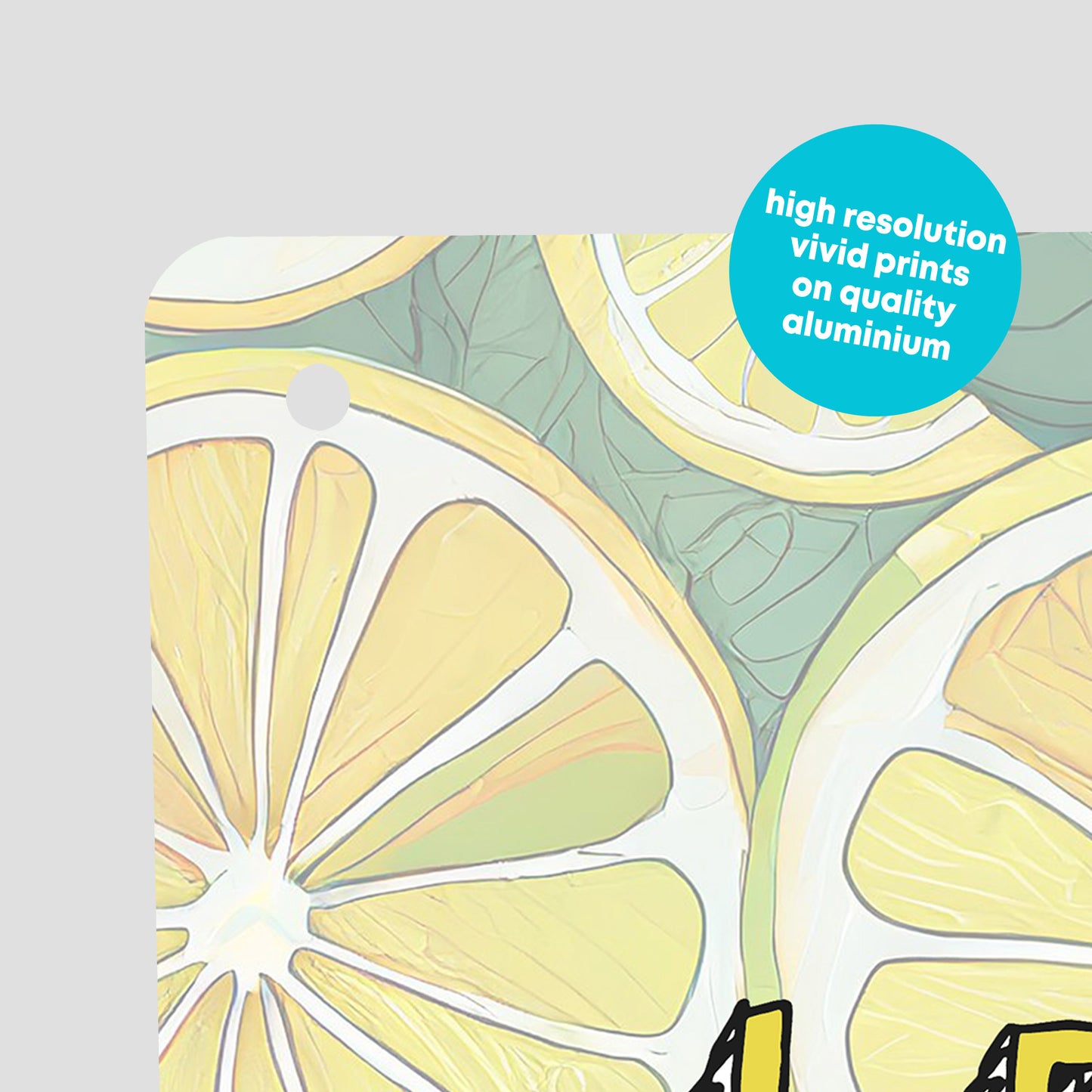 When Life Gives You Lemons Gin & Tonic Metal Wall Sign