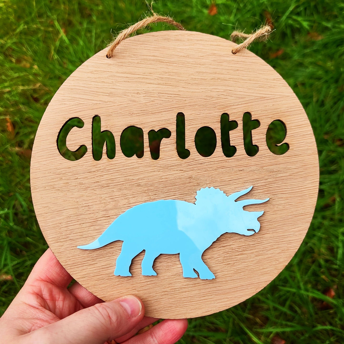 Personalised Triceratops Name Sign – Custom Dinosaur Bedroom Wall Hanging, Kids Room Décor